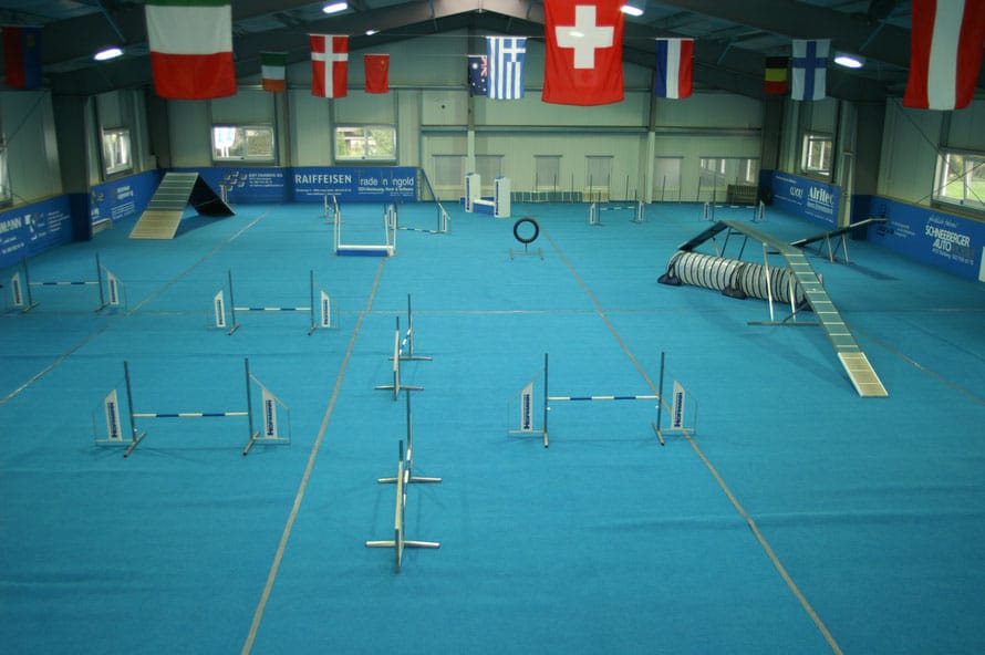 Innenansicht der Trainings-Halle in Aarwangen — kompletter Agility-Parcours mit Hürden, Slalom, Reifen, Tunnel und Kontaktzonen-Steg.