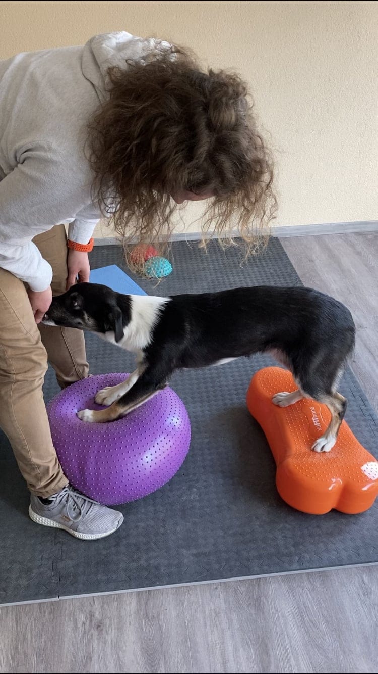 Indoor-Training bei der Betreuung
